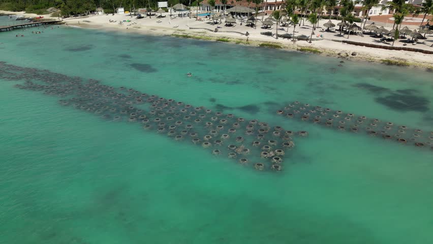 Close aerial shot of ocean wave barriers, waves crashing softly, white sand beach, green trees. Best for cinematic B-roll or surf, maritime promos