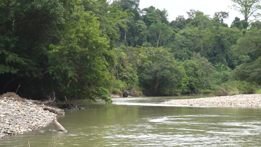 Rivers are a source of life that must be protected