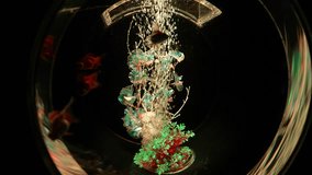 Modern Goldfish Aquarium WIth Bubbles in Dark Room, Close Up - Powered by Shutterstock - Get 15% off with code: PIKWIZARD15