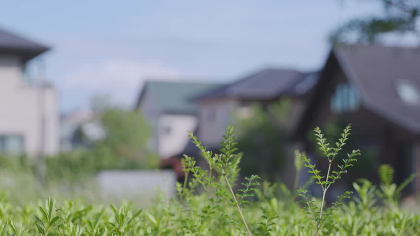 A quiet and beautiful Japanese residential area