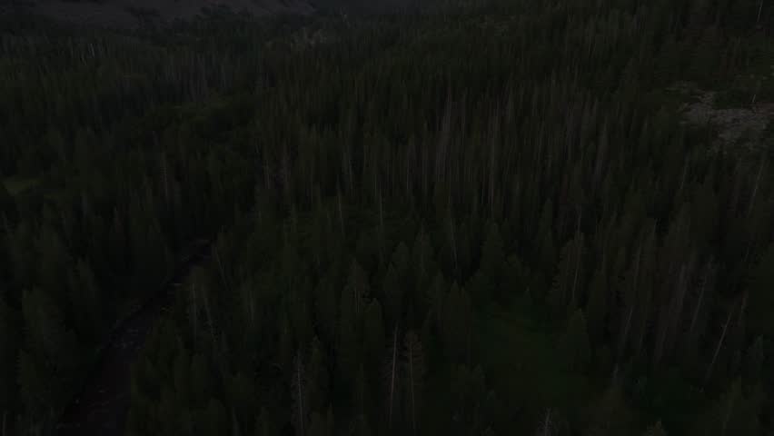 Drone dolly in tilt up wide shot of the Uinta-Wasatch-Cache National Forest in Utah during a summer sunset with the Provo River surrounded by pine trees, and Bald Mountain rising above the valley.
