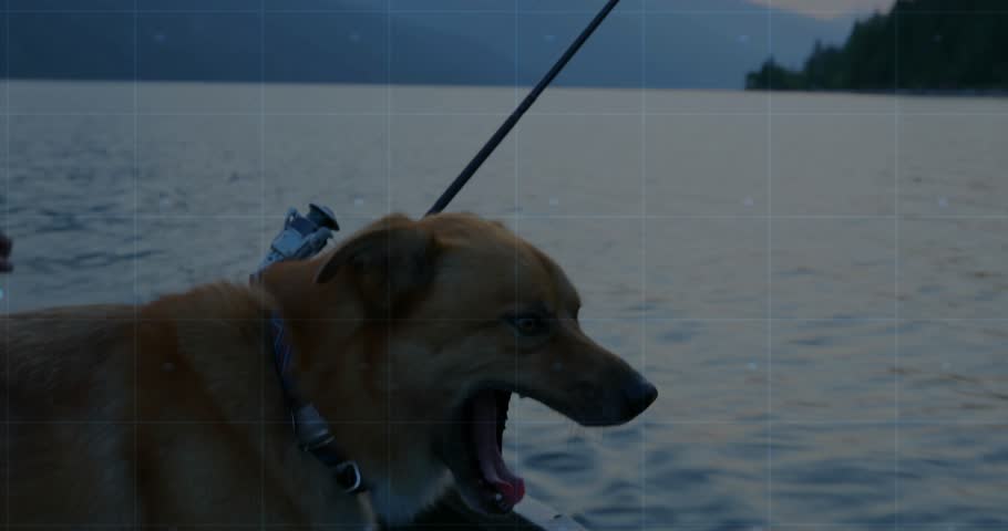 Once yawning, medium-brown dog panting on drifting boat, watching fishing rod against dusky lake. Nature, wildlife, tranquility, adventure, leisure, silhouette, scenic