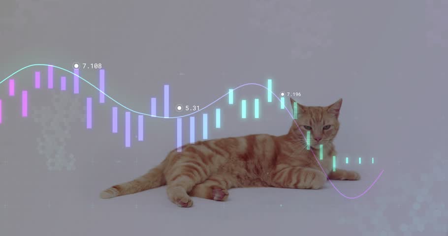 Purple-teal chart with labels scrolling on cat causing head pivoting, tail shifting showing data. Animal, analytics, minimalism, technology, data, financial, modern
