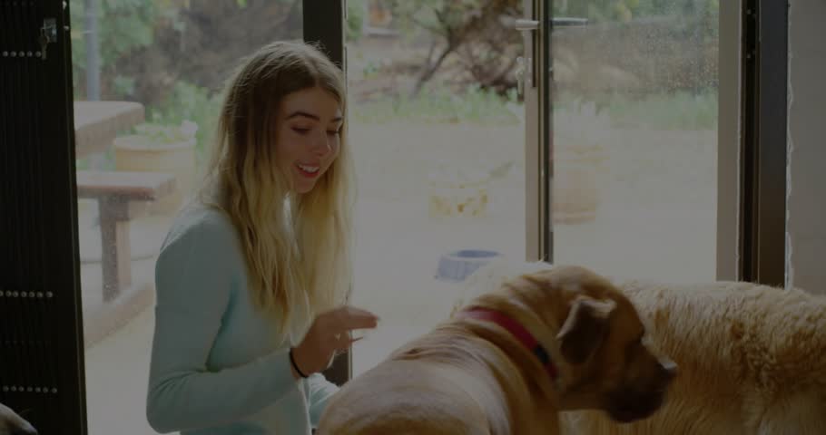woman sitting by glass sliding door, turning toward dog and initiating pet therapy by petting head. Pets, companionship, relaxation, indoor-outdoor, nature, harmony, comfort