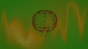 Opening green screen, 3D brain rotating then reversing with looping waveform showing brain activity. Futuristic, innovation, neuroscience, technology, animation, visualization, health - Powered by Shutterstock - Get 15% off with code: PIKWIZARD15