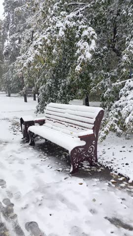 A bench covered in snow next to a group of trees.