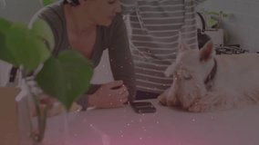 Mid-adult woman in kitchen noticing smartphone then shifting focus to terrier petting for pet care. Pets, companionship, cozy, lifestyle, home, relaxation, friendship - Powered by Shutterstock - Get 15% off with code: PIKWIZARD15