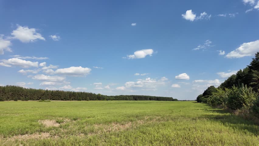 beautiful green meadow under a cloudy sky, rural agricultural landscape, time lapse scene. ukrainian landscape. Ukraine. high quality top footage.