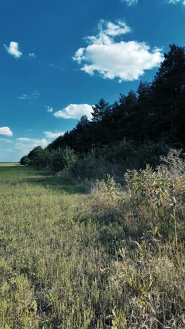 beautiful green meadow under a cloudy sky, rural agricultural landscape, time lapse scene. ukrainian landscape. Ukraine. high quality top footage.