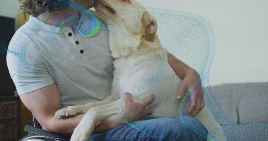 After petting man guiding dog sliding down mesh-back chair onto sofa while showcasing pet care. Pets, companionship, comfort, relaxation, home, warm, affectionate