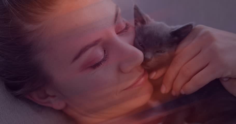 Woman resting on cushion initiating pet care routine by lifting grey kitten and caressing fur. Adoration, tenderness, companionship, cozy, serenity, affection, cuddling