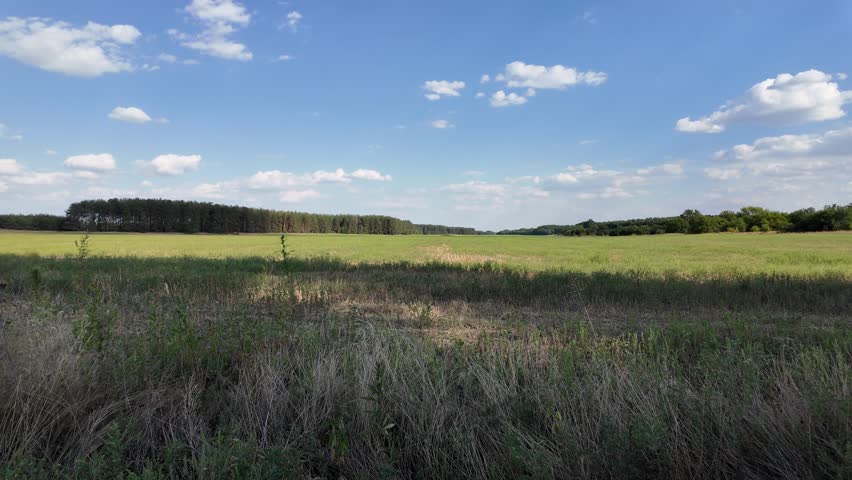 beautiful green meadow under a cloudy sky, rural agricultural landscape, time lapse scene. ukrainian landscape. Ukraine. high quality top footage.
