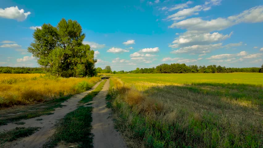beautiful green meadow under a cloudy sky, rural agricultural landscape, time lapse scene. ukrainian landscape. Ukraine. high quality top footage.