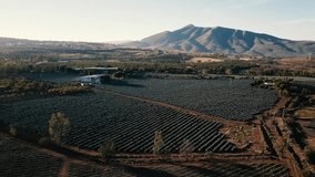 Rural valley at golden hour, aerial view of wide cultivated fields, scattered farmhouses, dirt roads, distant mountain range, blue sky, peaceful countryside landscape - Powered by Shutterstock - Get 15% off with code: PIKWIZARD15