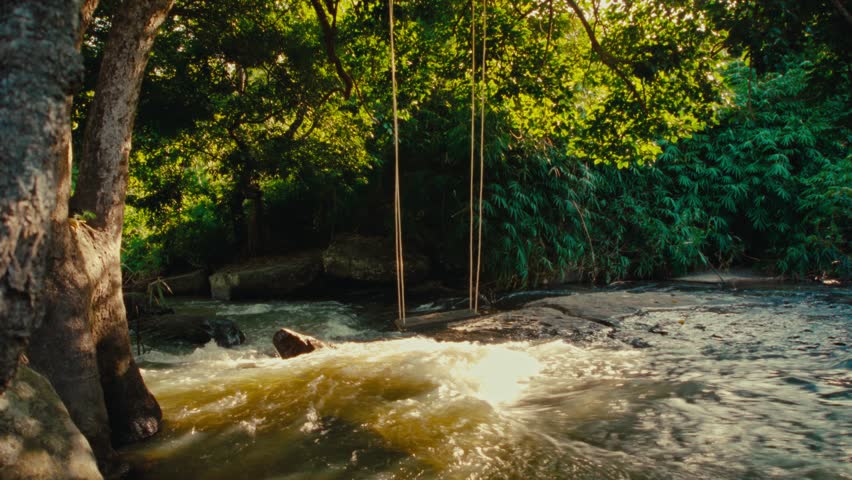 A running river stream with a swing