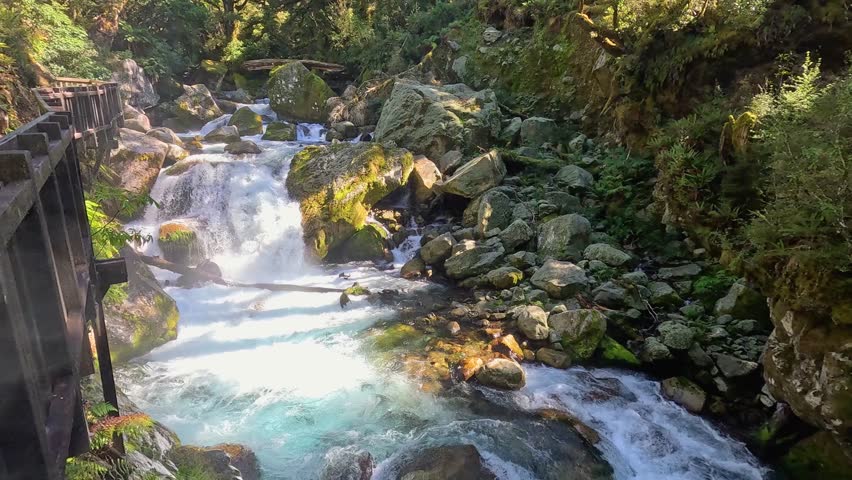 Woman admiring waterfalls and walking along the Lake Marian trail in the Fiordland National Park, New Zealand. You can see the rushing water running along side the walking path.