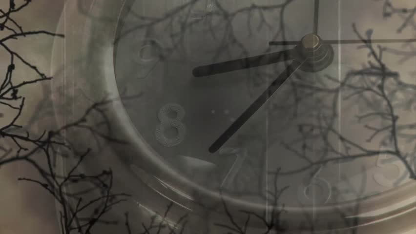 With second hand starting near eight, silver analog watch ticking to mark time over branch overlay. Timeless, elegance, precision, minimalism, contemplative, monochrome, mechanical