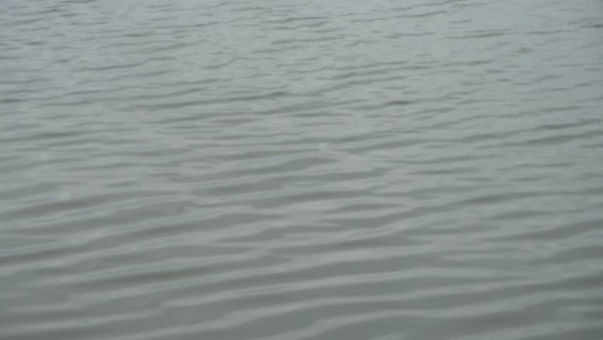 Ripples in the water. Calm waves in lake, pond.