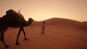 A desert guide walks with a saddled dromedary camel under warm Sahara sunset skies in Morocco - Powered by Shutterstock - Get 15% off with code: PIKWIZARD15