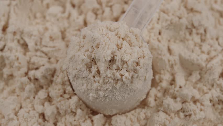 Scoop filled with vanilla protein powder. Macro close-up of sports nutrition supplement for fitness, healthy diet and muscle recovery concept. White protein, whey powder. Bodybuilding gym lifestyle