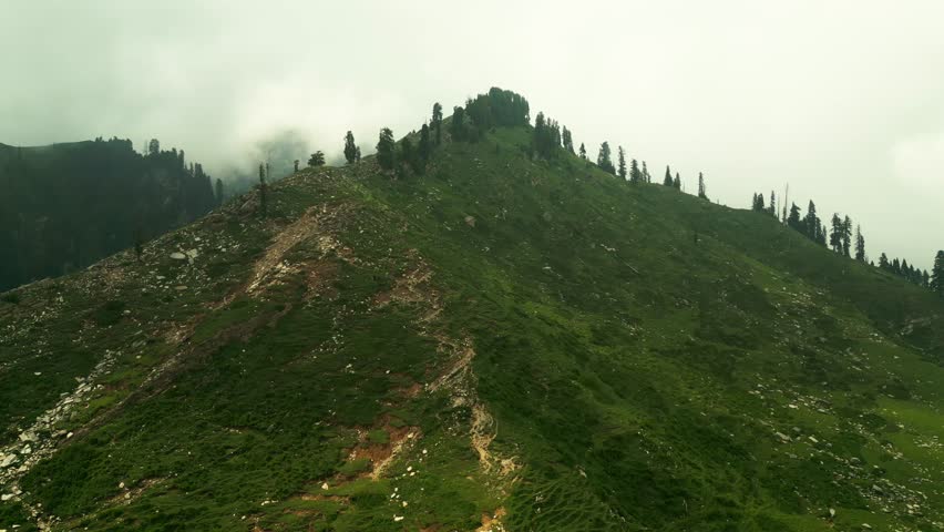Green Mountain Slope with Small Rustic Huts and Tall Pine Trees Under Cloudy Sky