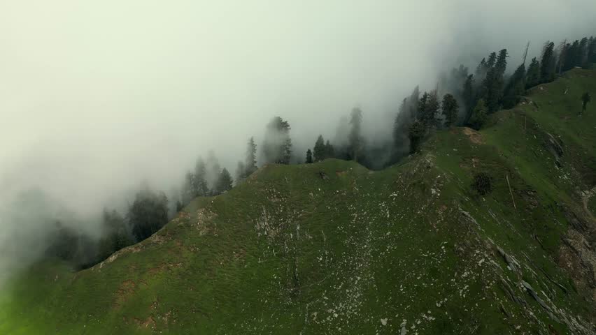 Foggy Mountain Landscape with Pine Trees and Green Hills in Serene and Mysterious Atmosphere