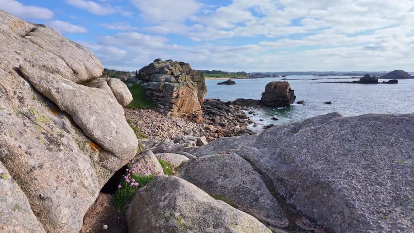 Plougrescant Chasm in Brittany—fractured granite cliffs with moss and purple wildflowers in foreground, rocky shoreline and calm sea under partly cloudy sky, sloe motion shot