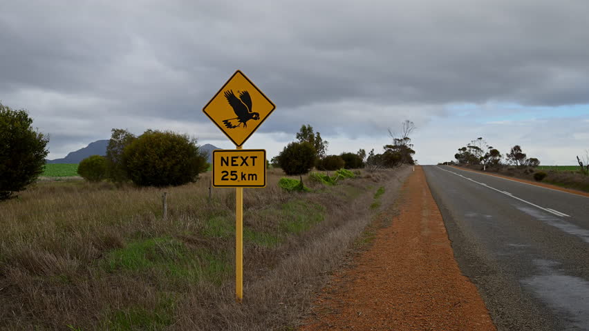 Black and yellow road warning sign, showing a pictogram of a flying parrot or cockatoo.