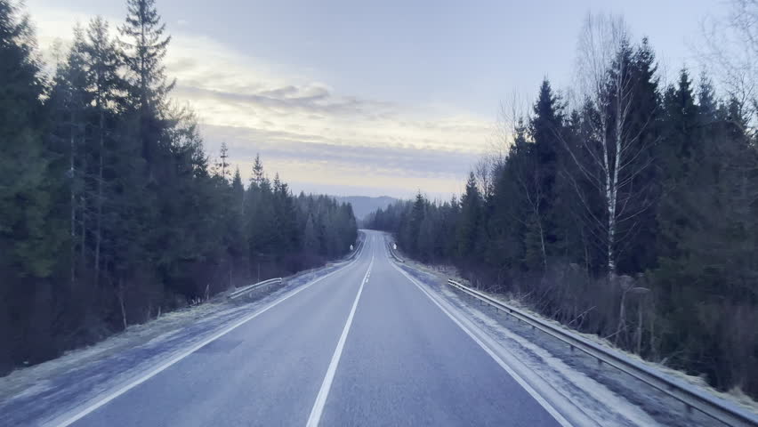 View through the windshield of driving truck along the forest country road with evergreen growing high spruce trees and indicating signboards, mountains morning road trip