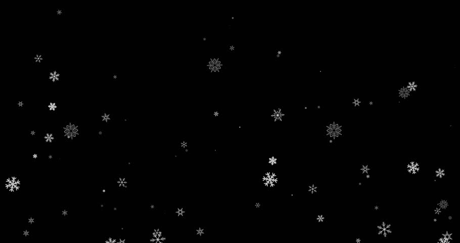 A Captivating Winter Wonderland: Snowflakes Gently Falling in a Beautiful Looping Animation Against a Dark Background Creating a Serene Atmosphere
