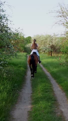 Girl rider, jockey riding on thoroughbred beautiful brown stallion, through old blossoming apple orchard. horse running in blooming garden. spring, outdoors