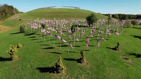 Multiple American flags waving in the autumn breeze with colorful fall foliage, symbolizing patriotism, heritage, culture, and freedom, perfect for education, history, travel, and civic visuals. - Powered by Shutterstock - Get 15% off with code: PIKWIZARD15