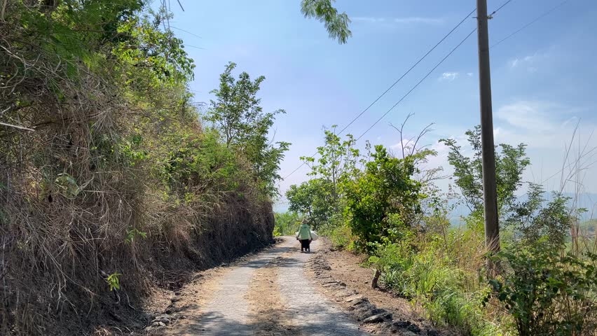 Narrow rural road through green hillside with power pole and clear sky on sunny day, showing a person walking in the distance pushing a handcart.