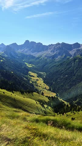 Col Valvacin - Buffaure - Sas d