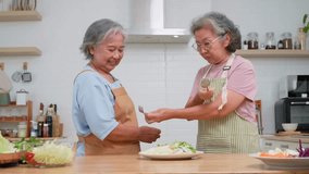 Two elderly women are engaged in a friendly culinary endeavor, preparing a delicious meal with fresh ingredients and enjoying each other, Enjoy a delightful culinary experience together in their home - Powered by Shutterstock - Get 15% off with code: PIKWIZARD15