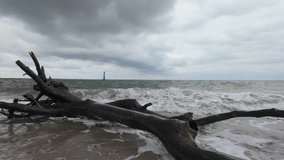 Dramatic close-up of slow motion water spray hitting driftwood, Charleston - Powered by Shutterstock - Get 15% off with code: PIKWIZARD15