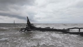 Dramatic slow motion shot of storm wave breaking on driftwood, Charleston - Powered by Shutterstock - Get 15% off with code: PIKWIZARD15