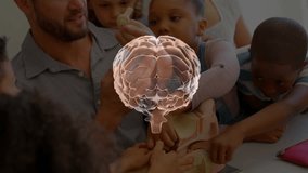 3D brain hologram materializing rotating teacher pointing and students touching model for education. Neuroscience, interactive, educational, visualization, learning, innovation, collaboration - Powered by Shutterstock - Get 15% off with code: PIKWIZARD15