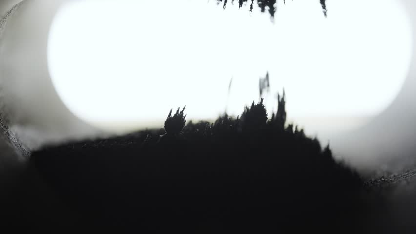 Iron Dust Forming Spikes With Magnetic Pull