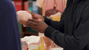 Teacher holding a human brain model explaining anatomy to a student in a science classroom - Powered by Shutterstock - Get 15% off with code: PIKWIZARD15