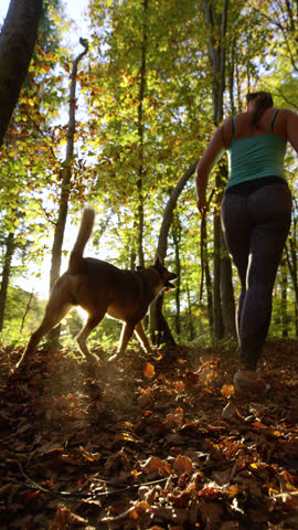 VERTICAL, LENS FLARE, LOW ANGLE VIEW: Woman and her dog walk along a sunny path covered in fallen autumn leaves. Sunlight shines brightly between their steps as they move through the forest in fall.