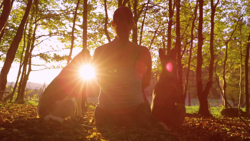 LENS FLARE, SILHOUETTE: Framed by sunlit trees, a woman sits on carpet of fallen leaves among her dogs, facing a green meadow. Golden sunlight highlights the stunning beauty of the autumn forest.
