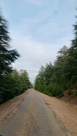 Experience a captivating drive through a rugged, tree-lined mountain trail amid lush conifers and endless blue skies. Great for eco-adventure and scenic stock video!