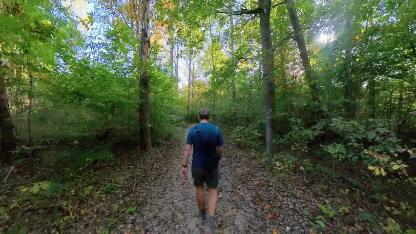 Man Hikes on Wide Trail in Early Fall in Great Smoky Mountains National Park