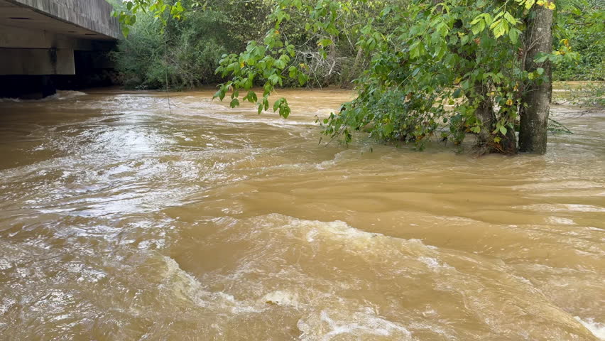 Low-angle shot shows powerful current in flooded Georgia creek caused by Hurricane Helene rains.