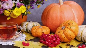 A still life of a cup of tea, pumpkins, and autumn flowers. 4K video. - Powered by Shutterstock - Get 15% off with code: PIKWIZARD15
