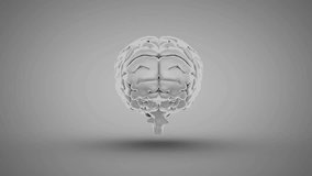 On startup 3D brain rotating while concentric rings lighting numeric labels during scanning demo. Neural, cognition, interface, visualization, medical, innovation, technology - Powered by Shutterstock - Get 15% off with code: PIKWIZARD15