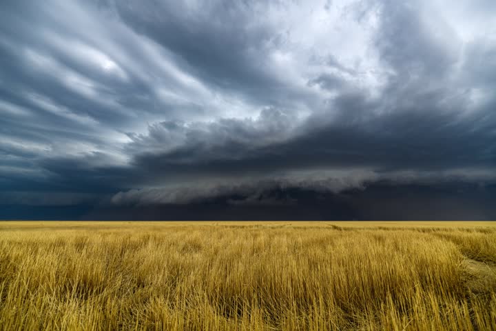 Big Dusty Kansas Shelf | Johnson City, Kansas - Timelapse of a large shelf cloud that kicks up thick dust as a weather front charges across the area. July 16th, 2024