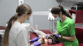 Providing Dental Care for Young Patients in a Modern and Comfortable Clinic Environment - Powered by Shutterstock - Get 15% off with code: PIKWIZARD15