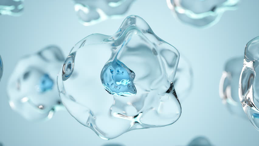 The serum is absorbed into skin cells.